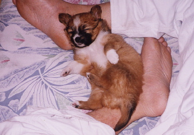 2004.1.3.mio2.jpg (54821 バイト)