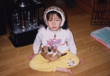 2004.1.7.mio10.jpg (56885 バイト)