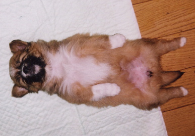 2004.1.7.mio2.jpg (43787 バイト)