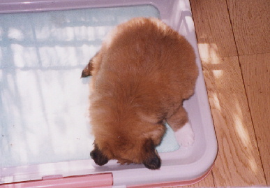 2004.1.7.mio3.jpg (43915 バイト)