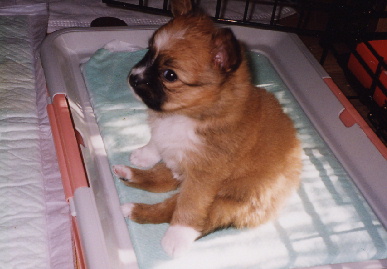 2004.1.7.mio4.jpg (47966 バイト)