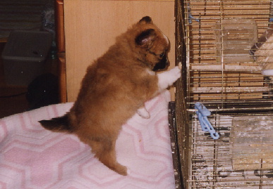 2004.1.7.mio6.jpg (55810 バイト)
