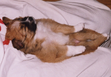 2004.1.7.mio7.jpg (45368 oCg)