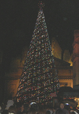 2004.11.22.moe3.jpg (66177 バイト)