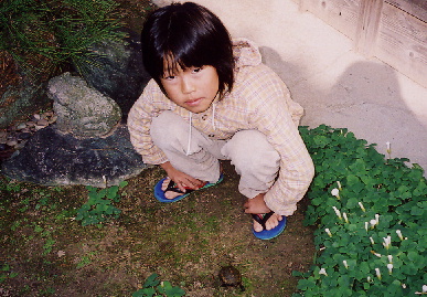 2004.11.3.kame2.jpg (83258 バイト)
