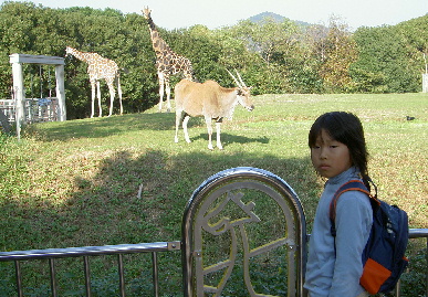 2004.11.6.moe8.jpg (89467 バイト)