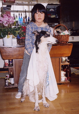 2004.12.27.tanuki1.jpg (72060 バイト)
