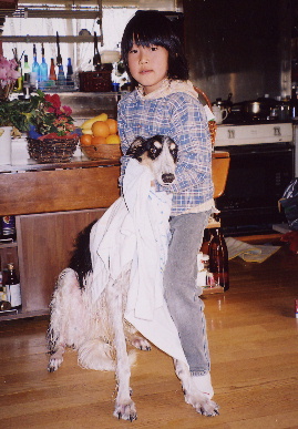 2004.12.27.tanuki2.jpg (67410 バイト)