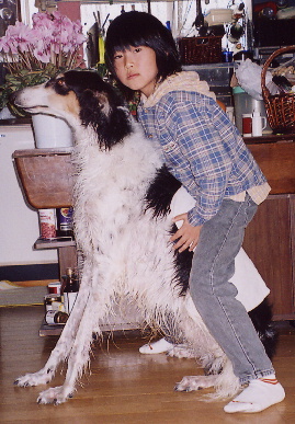 2004.12.27.tanuki3.jpg (74891 バイト)