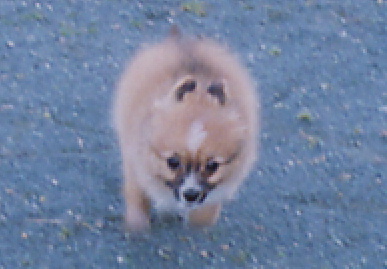 2004.2.15.mio3.jpg (43965 バイト)