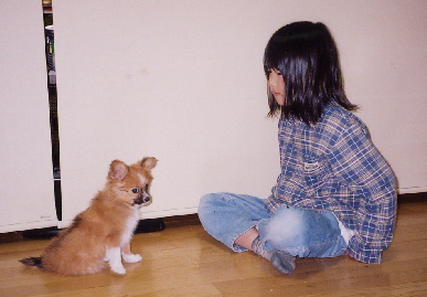 2004.2.15.mio4.jpg (46068 バイト)