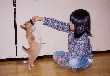 2004.2.15.mio5.jpg (49500 バイト)