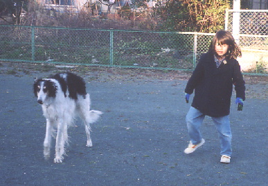 2004.2.15.tanuki1.jpg (66982 バイト)
