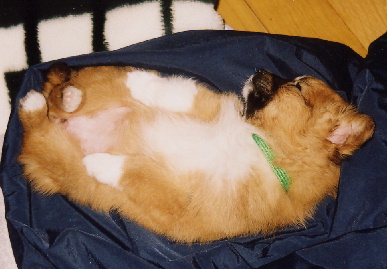 2004.2.2.mio1.jpg (54478 バイト)