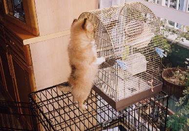 2004.2.2.mio10.jpg (83652 バイト)
