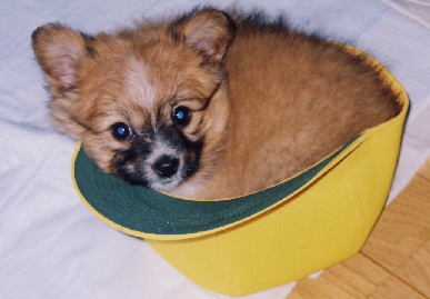 2004.2.2.mio2.jpg (47576 バイト)