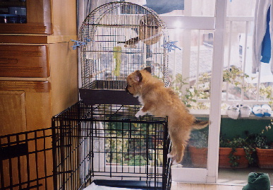 2004.2.2.mio5.jpg (72843 バイト)