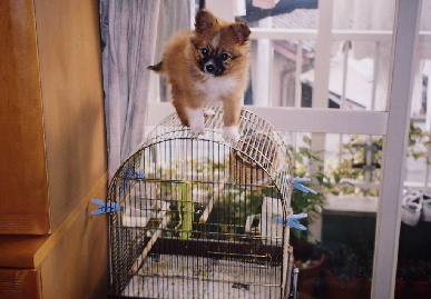 2004.2.2.mio7.jpg (59150 バイト)
