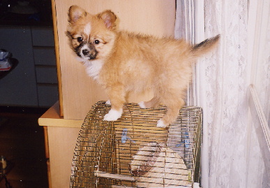2004.2.2.mio8.jpg (56139 バイト)