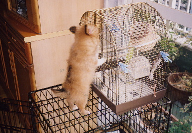 2004.2.2.mio9.jpg (83246 バイト)
