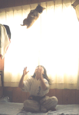 2004.2.2.moe2.jpg (29953 バイト)