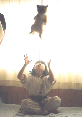 2004.2.2.moe3.jpg (27696 バイト)