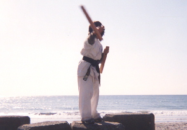 2004.2.8.karate_kanchuugeiko10.jpg (32532 バイト)