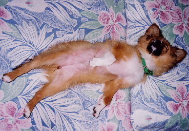 2004.3.29.mio.jpg (87816 バイト)