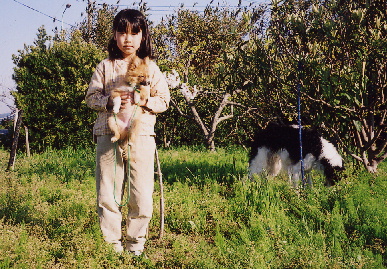 2004.4.10.moe1.jpg (114723 バイト)