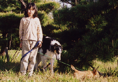 2004.4.10.moe5.jpg (78687 バイト)