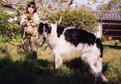 2004.4.10.moe6.jpg (97066 バイト)