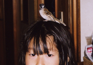 2004.4.14.moe2.jpg (48456 oCg)