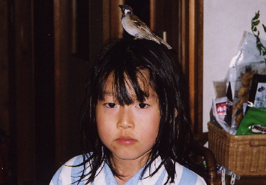 2004.4.14.moe3.jpg (52465 oCg)