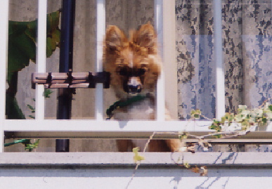 2004.4.25.mio1.jpg (57258 バイト)