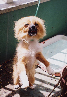 2004.4.25.mio2.jpg (59946 バイト)