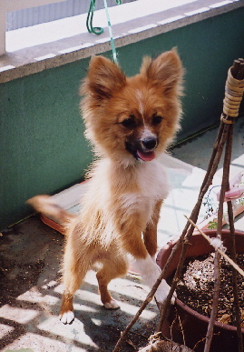 2004.4.25.mio4.jpg (68003 バイト)