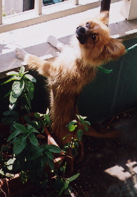 2004.4.25.mio5.jpg (57266 バイト)