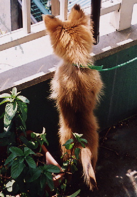 2004.4.25.mio6.jpg (65273 バイト)