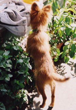 2004.4.25.mio7.jpg (73046 バイト)