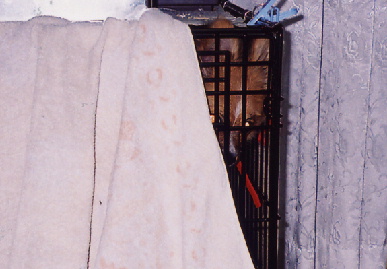2004.4.25.mio8.jpg (49035 バイト)