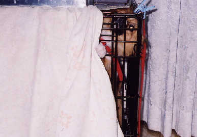 2004.4.25.mio9.jpg (49405 バイト)