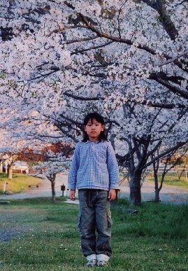 2004.4.8.hanami5.jpg (95808 oCg)