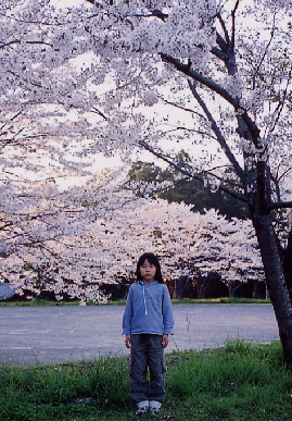2004.4.8.hanami7.jpg (99100 oCg)