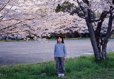 2004.4.8.hanami8.jpg (93738 バイト)