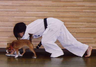 2004.6.19.moe18.jpg (46287 バイト)