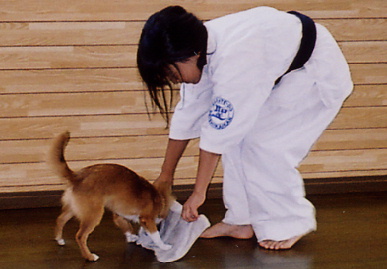 2004.6.19.moe19.jpg (48930 バイト)