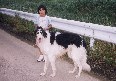 2004.6.24.moe2.jpg (64207 oCg)