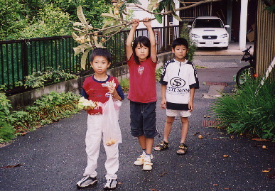 2004.6.6.biwa1.jpg (92537 oCg)