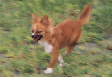 2004.7.15.mio1.jpg (48681 バイト)