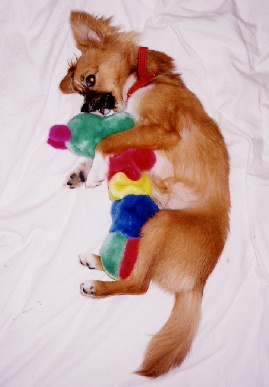 2004.7.18.mio3.jpg (44332 バイト)